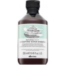 Davines NATURALTECH Detoxifying šampon pro hloubkové čištění atonické pokožky 250 ml