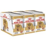 Royal Canin Yorkshire Adult 36 x 85 g – Sleviste.cz