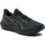 Asics GT-2000 12 GTX M 1011B687001 black/illuminate green – Zboží Dáma