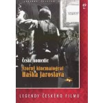 Vzorný kinematograf Haška Jaroslava DVD – Hledejceny.cz