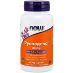 Now Foods Pycnogenol s Bioflavonoidy 30 mg 60 kapslí – Hledejceny.cz