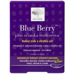 New Nordic Blue Berry 60 tablet – Hledejceny.cz