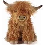 Living Nature Kráva Skotská náhorní – Sleviste.cz