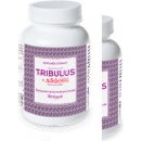 Naturvita Tribulus + Arginin 90 kapslí
