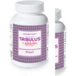 Naturvita Tribulus + Arginin 90 kapslí – Hledejceny.cz
