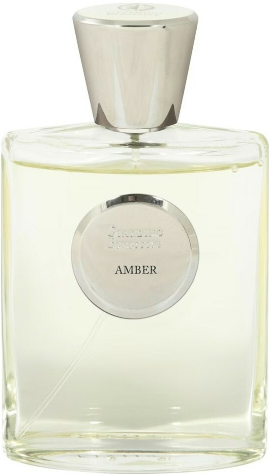 Giardino Benessere Amber parfémovaná voda unisex 100 ml