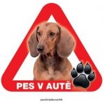 Grel nálepka na sklo pozor pes v autě jezevčík hladkosrstý – Zbozi.Blesk.cz