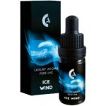 Eurona Ice Wind Iconic Stars vonný olej 5 ml – Hledejceny.cz
