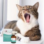 JM SANTE Vet Protector Ústní dutina sprej tekutina do ústní dutiny pro psy a kočky - 30 ml – Zboží Dáma