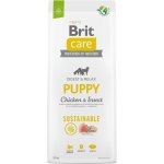 Brit Care Sustainable Puppy Chicken & Insect 12 kg – Zboží Mobilmania
