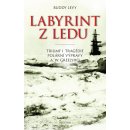 Kniha Labyrint z ledu - Triumf a tragédie polární výpravy A. W. Greelyho - Buddy Levy