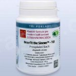 Giovanni Maciocia T65 Prospívání šlach Benefit the Sinews 60 tablet – Hledejceny.cz