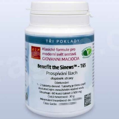 Giovanni Maciocia T65 Prospívání šlach Benefit the Sinews 60 tablet – Hledejceny.cz