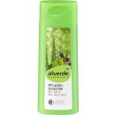 Alverde Naturkosmetik sprchový gel Bio-Olive Bio-Aloe Vera 250 ml