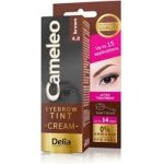 Delia Cosmetics Cameleo krémová profesionální barva na obočí 4.0 Brown 15 ml – Zbozi.Blesk.cz