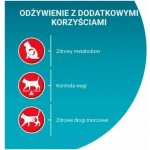 PURINA One Sterilcat Wołowina 9,75 kg – Zboží Dáma