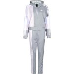 adidas W BOLD BLOCK TS šedá – Zboží Mobilmania