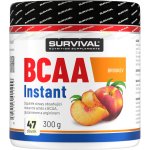 Survival BCAA Instant 300 g – Zboží Dáma