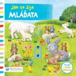 Mláďata - Jak to žije - Jatkowska Ag – Hledejceny.cz