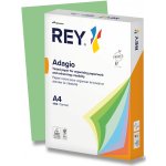 Rey Barevný Adagio listově zelená A4 80 g 500 listů – Sleviste.cz