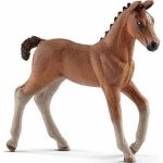 Schleich 13818 Hannoverské hříbě – Hledejceny.cz