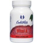 CaliVita Vital A 90 tablet – Hledejceny.cz