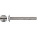 Korčekový šroub s půlkulatou hlavou PZ bíle pozinkovaný M5 x 30 mm, 10 ks – Hledejceny.cz