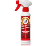 Leather Quick&Easy 2v1 Leovet 250 ml – Zbozi.Blesk.cz