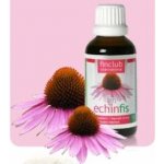 Echinfis 50 ml – Hledejceny.cz