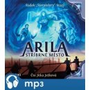 Arila: Stříbrné město - Radek Starý