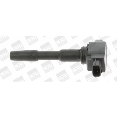 Zapalovací cívka BorgWarner (BERU) ZSE131 – Hledejceny.cz