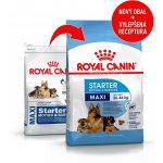 Royal Canin Starter Mother&Babydog Maxi 2 x 15 kg – Hledejceny.cz
