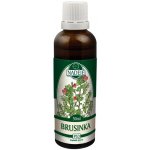 Naděje Brusinka tinktura z pupenů rostlin 50 ml – Hledejceny.cz