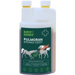 Leros Sirup Pulmoran Horse 1 l – Hledejceny.cz