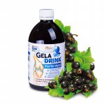 Orling Geladrink Forte Hyal biosol černý rybíz 500 ml – Hledejceny.cz