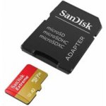 Sandisk Extreme Go Micro SDXC 512GB SDSQXGN-512G-GN6MN – Zboží Živě