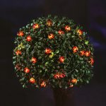 Garden of Eden Solární LED světelný řetěz s beruškami 2,4 m, 25 LED, teplá bílá – Hledejceny.cz