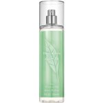 Elizabeth Arden Green Tea tělový závoj 236 ml – Zbozi.Blesk.cz