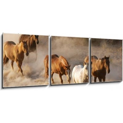 Obraz 3D třídílný - 150 x 50 cm - wild horses running divoké koně běží – Zboží Mobilmania