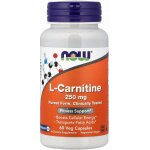Now Foods Foods L-Karnitin 250 mg 60 veg kapslí – Hledejceny.cz