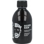 Dear Beard stříbrný šampon na vlasy 250 ml – Zbozi.Blesk.cz