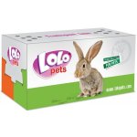 Lolopets kartonová krabička na transport velká 27 x 13 x 13 cm – Zboží Dáma