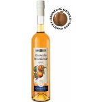 Starovická Meruňkovice 2022 42% 0,7 l (holá láhev) – Zboží Dáma