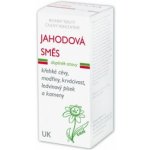 Dědek kořenář Novy Jahodová směs UK 200 ml – Hledejceny.cz