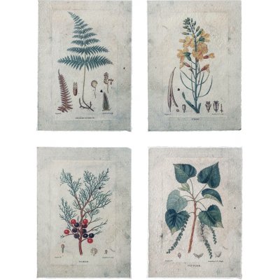 Bloomingville Plakát Green set 4 ks, 35x25,5 cm – Zboží Dáma