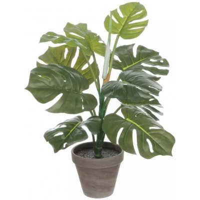 Umělá rostlina Monstera, 48 cm, zelená 1044541 – Hledejceny.cz