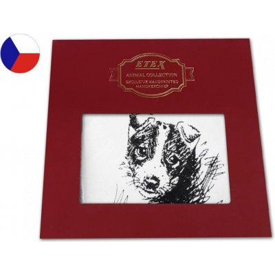 Etex kapesník L35 dárková krabička Pes 1 ks – Sleviste.cz