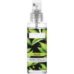 Ryor Osvěžující mlha s vůní zeleného čaje Matcha 100 ml – Hledejceny.cz