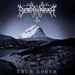 Borknagar - TRUE NORTH CD – Zboží Mobilmania