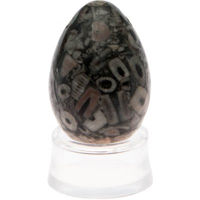 Yoni Spirit Kamenné vajíčko s otvorem zkamenělý korál YOS21 – Zboží Mobilmania